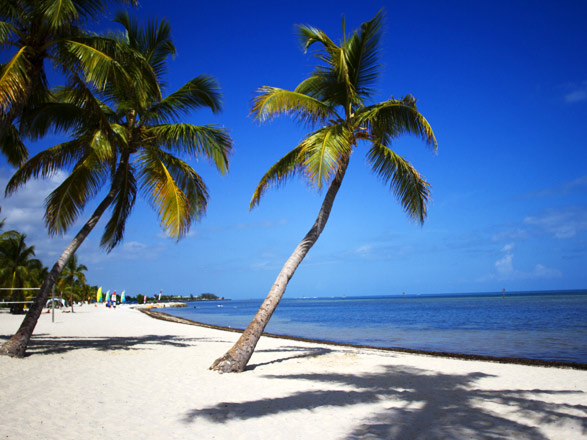 Le Bahamas : Celebration Key 